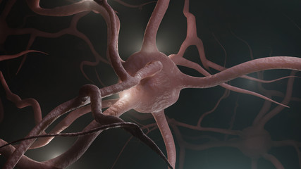 neuron cells with glowing link knots.
Neurons are cells within the nervous system that transmit information to other nerve cells, muscle, or gland cells. 3D rendered illustration.