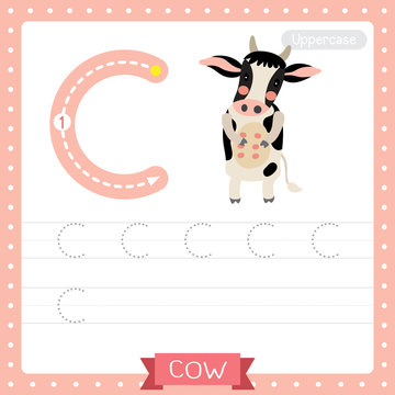 Letter C uppercase tracing practice worksheet. Happy Holstein Cow