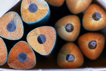 Lots of pencils