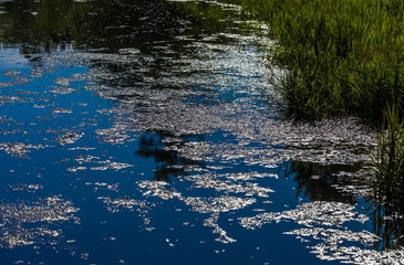 Sun glare on the water surface of the river and grass on the Bank