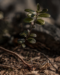 Photos made with love most photos have been taking in Finland