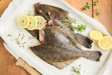 Scholle Flunder Plattfisch roh