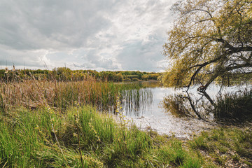 Rusalka lake in Poznan (Posen), Poland. Green trees over the lake. Beautiful natural landscape.