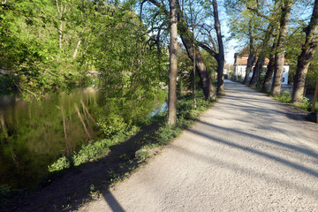Fußweg im Bamberger Hain