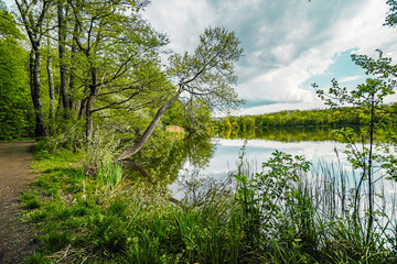 Rusalka lake in Poznan (Posen), Poland. Green trees over the lake. Beautiful natural landscape.