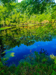 Fototapeta premium Reflections of a lake