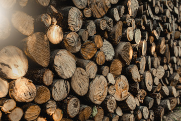 Pile of firewood forming a wall. Background with stacked logs.