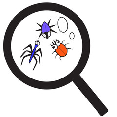 Germs under a magnifying glass. Cartoon insects under magnification. The concept of detection of microorganisms, the treatment of viruses and diseases. Red, purple and blue beetle with big eyes.