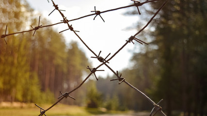 Social distance during quarantine and isolation. Closed territory with barbed wire. Barbed wire on a background of nature.