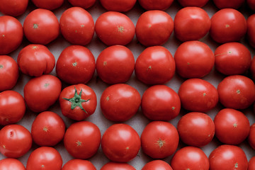 Tomatoes lie in rows. Background or texture