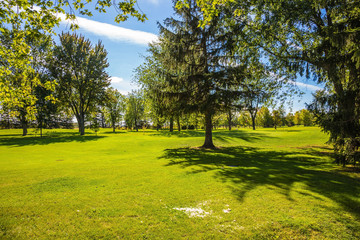 Golf Course surrounded by autumn park