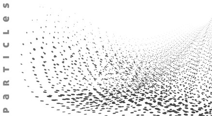 Black and white speckled pattern with particles. Vector graphics
