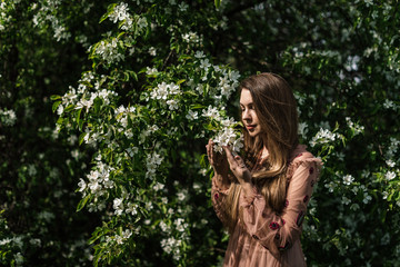 beautiful girl in a pink dress stands sideways in white flowers in a blooming apple garden looks at the flowers