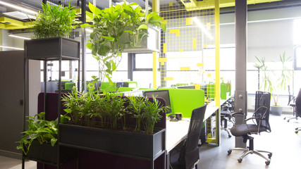 Modern office interior in loft style in grey, green and yellow colors