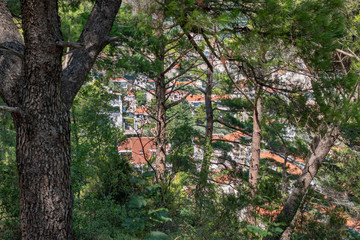 View of the city from the forest. The Mediterranean