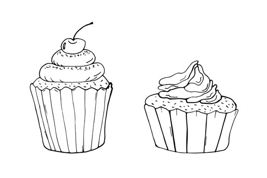 Cupcakes silhouette on a white background, coloring book. Vector illustration