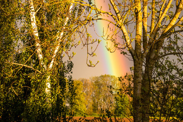 Ein Regenbogen im Abendlicht