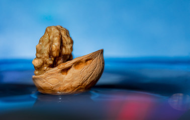 Composition of walnuts on a blue background. The boat is floating on the water. Macro, abstraction. Copy space.