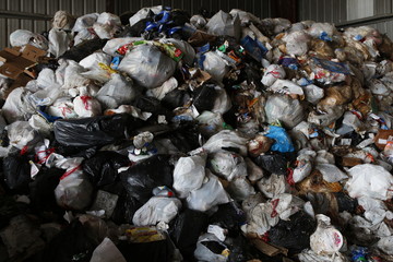 Garbage and plastic waste disposal
