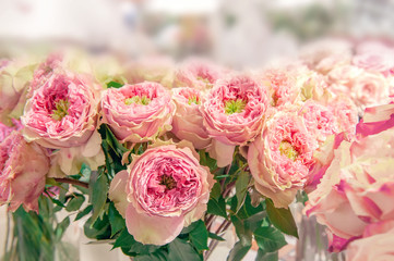 A beautiful bouquet of peony pink roses. Bouquet of roses of modern selection. Close up