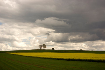 Obraz na płótnie Canvas country field landscape