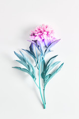 beautiful large peony flower. flowers painted with a pastel gradient. flat lay, top view
