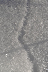 Trace printed on snow surface with a mouse that ran earlier