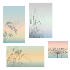 Set of beautiful landscapes with a grass silhouette against a sunset background.Vector illustration.