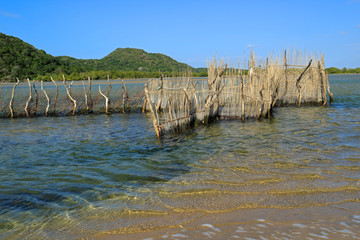 Traditional Tsonga fish trap built in the Kosi Bay estuary, Tongaland, South Africa. - obrazy, fototapety, plakaty