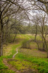 Obraz premium footpath in the park
