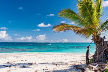 Plakat Caribbean island panorama of Anguilla