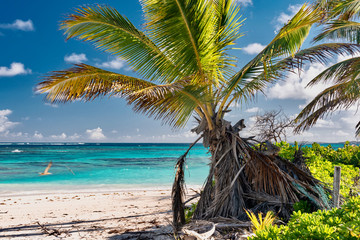 Caribbean island panorama of Anguilla shoal Bay