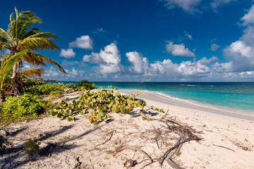Caribbean island panorama of Anguilla shoal Bay