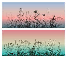 Set of beautiful landscapes. Vector illustration grass and flowers silhouette against a sunset background.