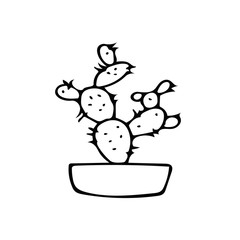 cactus plant in pot. element in hand drawn doodle style. simple liner scandinavian. indoor design of card poster