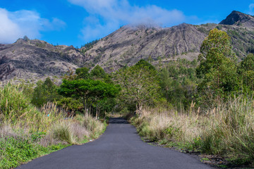 A landscape view of cloud covered Mount Batur from the tree surrounded road