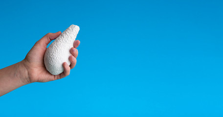 Art diet concept. Avocado in white paint