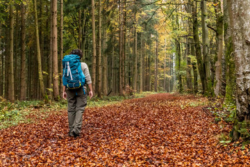 Woman walking in a Trail with autumn leaves around Calw village