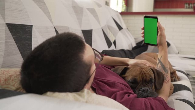 young man with his dog lying on the couch staring at his cell phone, green screen