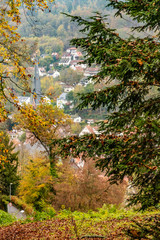 Trail with autumn leaves in Calw village