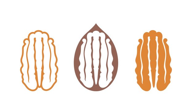 Pecan nut logo. Isolated pecan nut on white background