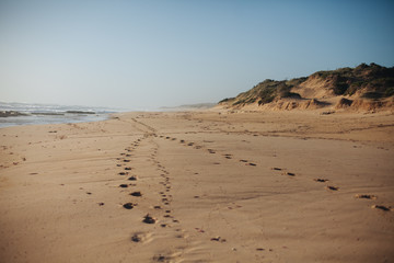 Empty, idyllic beach in Australia