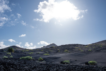 Volcanic landscape of Timanfaya National Park on island Lanzarote