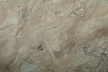 
Rustic wood and stone background with varied textures and pastel and dark colors