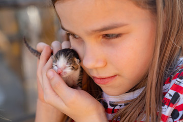 newborn kitten in hands of a kid girl. 