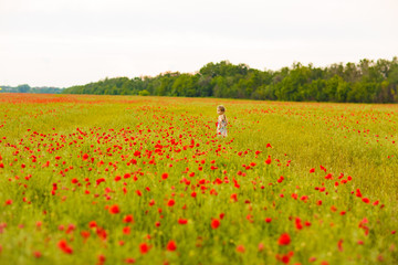 Beautiful child picking flowers in poppy field