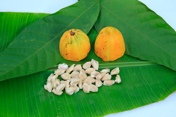 Fresh ripe cocoa nuts and leaf isolated on banana leaf