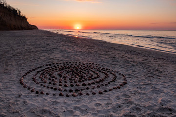 Fototapeta na wymiar Shells in a spiral shape on the sand beach at the morning sunrise. Collection of seashells collected on the Black sea beach. Memory of vacation at sea. Odessa, Ukraine
