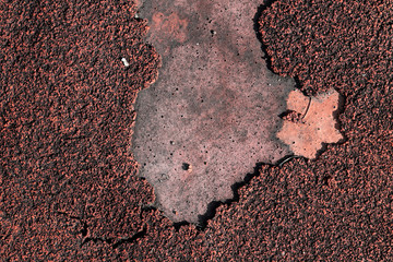 The surface of the old track