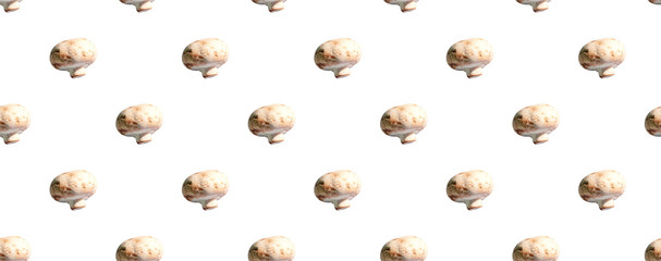 seamless pattern of mushrooms against white background. Organic food concept 
